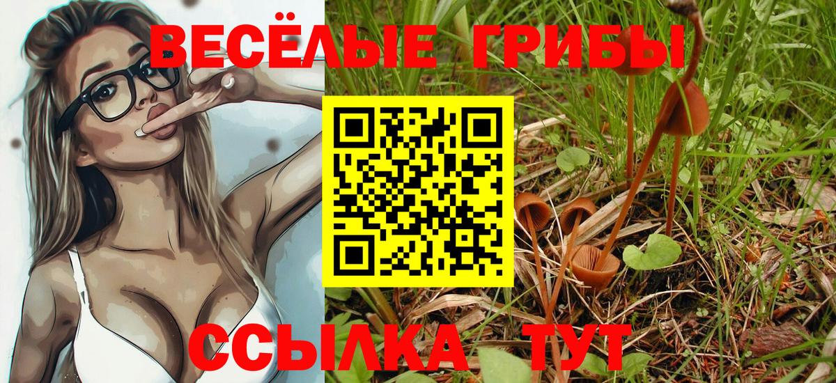 Волхов  Псилоцибиновые грибы Psilocybine cubensis  Вход с VPN  Галлюциногенные грибы ЛСД 